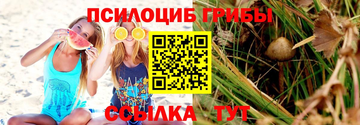 Шуя  Галлюциногенные грибы Magic Shrooms  купить наркотики цена  Вход с VPN  Псилоцибиновые грибы мицелий 