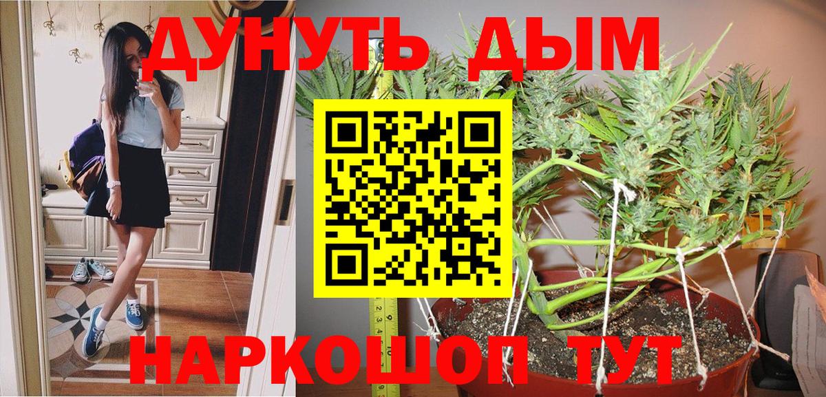 Шуя  Конопля THC 21%  Марихуана планчик  Вход с VPN  Конопля THC 21% 